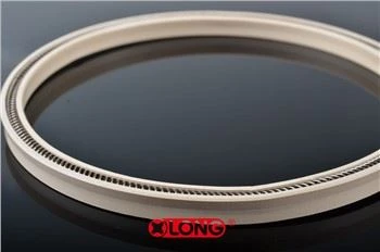 PTFE Spring Energized Rotary Lip Seal